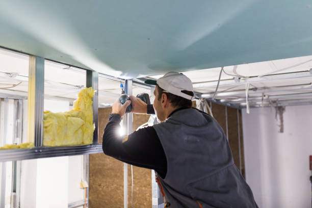 Best Garage Insulation Installation  in USA